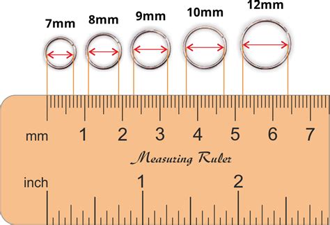 Shown Actual Size: A Penis Shape & Size Lowdown